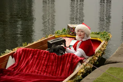 DSC_6093 (Large).JPG